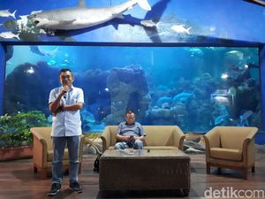 Ancol Bidik 160 Ribu Wisatawan Saat Libur Imlek