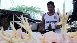 Harga Ayam di Bandung Sudah Normal