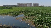 Bangalore. Pertumbuhan di Bangalore, sebuah kota di sisi selatan India, tidak diimbangi dengan pengelolaan sistem air dan limbah. Sebuah laporan menunjukkan bahwa kota itu kehilangan setengah kapasitas air minum jadi limbah.  (Foto: via BBC)