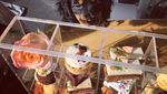 Gemes! Ini Ekspresi Lucu Minnie, Anjing yang Jadi Foodie di Sydney