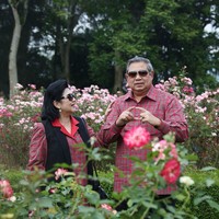Berpose di Taman Bunga Nusantara, Cianjur, SBY dan Ani Yudhoyono kompak berbaju kemeja lengan panjang kotak-kotak. Untuk Bu Ani, kemejanya pada bagian kerahnya dibuat dengan desain berbeda agar lebih feminin. Dia juga menambahkan vest hitam pada penampilannya. Foto: Dok. Instagram Ani Yudhoyono