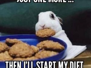 10 Meme Kocak Cobaan Diet yang Bikin Gagal Kurus