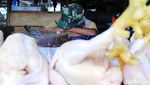 Harga Ayam di Bandung Sudah Normal