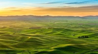 Jarak dari Olympia (ibukota Negara Bagian Washington) ke Palouse memakan waktu 5 jam naik mobil. Tapi, panorama yang terlihat bakal terbayar impas (Thinkstock)