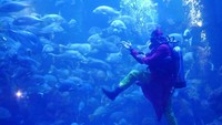 Di awal pertunjukan, sembari narator bercerita, muncul seorang penyelam yang memperagakan kungfu (Kurnia/detikTravel)