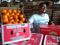 Polemik Izin Impor di Tengah Langkanya Jeruk Mandarin