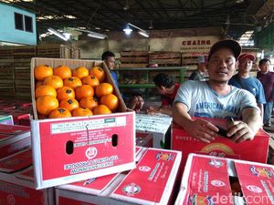 Bentuknya Mirip, Enak Mana Jeruk Mandarin China atau Pakistan?