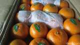 Impor Jeruk Mandarin Turun Tapi Apel Naik di Februari