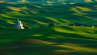 Bukan di Asia atau daratan Eropa, Palouse adalah kawasan perkebunan dengan padang rumput yang disebut tercantik dunia dan berada di Amerika Serikat (Thinkstock)