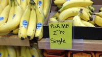 Pisang ini bisa dijual satu sisir atau satuan (single/jomblo). Bebas pilih sesuai keinginan Anda. Istimewa/Berodpanda