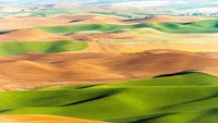Setuju kalau Palouse adalah padang sumput tercantik di dunia? (Thinkstock)