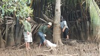 Kepala Seksi Konservasi Wilayah I BKSDA Kalimantan Tengah, Junaedy Slamet Wibowo, ikut terjun dalam upaya mengevakuasi buaya yang meresahkan warga ini.
