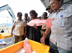 Momen Menteri Susi Saat Sarapan Ikan hingga Tenggelamkan Kapal