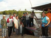 Begini Cerita Sulitnya Petugas Buru Buaya 1 Ton Pemangsa Manusia