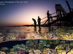 Karya Mengagumkan Jawara Kontes Foto Underwater 2018