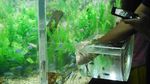 Foto: Akuarium Ajaib di Seaworld