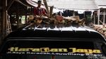 Punya Sofa dan Pallet, Dari Sini Loh Sumber Kayunya