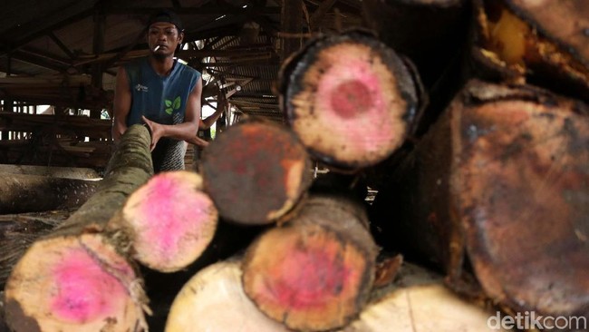 Aneka Bisnis Kayu yang Bikin Tajir Melintir