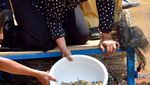 Mengintip Gaya Nyentrik Susi Pudjiastuti Saat Ngopi di Tengah Laut!