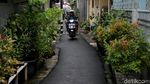 Melihat Gang Sempit yang Jadi Lokasi Pelecehan di Jatinegara