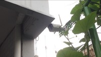 Meskipun gang sempit di tengah perkampungan, gang ini diawasi CCTV.  