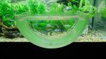 Foto: Akuarium Ajaib di Seaworld
