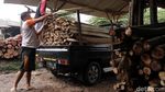 Punya Sofa dan Pallet, Dari Sini Loh Sumber Kayunya