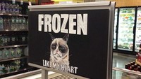 Meme kucing penggerutu (grumpy) juga ternyata bisa jadi sarana promosi makanan beku. Istimewa/Berodpanda