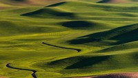 Palouse berada di kawasan barat laut AS, berada di dalam wilayah Negara Bagian Washington. Panorama padang rumputnya memang sungguh menakjubkan! (Thinkstock)