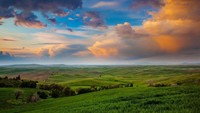 Sejauh mata memandang, ada warna hijau yang terlihat. Beberapa ada warna kuningnya juga yang berasal dari tumbuh-tumbuhan di sana (Thinkstock)