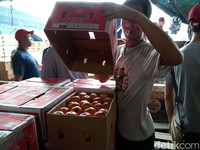 Polemik Izin Impor di Tengah Langkanya Jeruk Mandarin