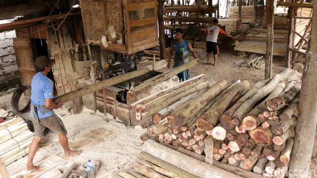Aneka Bisnis Kayu yang Bikin Tajir Melintir