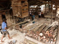 Aneka Bisnis Kayu yang Bikin Tajir Melintir
