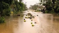 Topan menghantam sisi selatan Pulau Tongatapu. Tiang listrik roboh, gereja rusak, serta pohon-pohon rata dengan tanah. (Foto: Dok. Facebook Noazky Langi/via REUTERS)