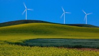 Palouse tidak hanya punya padang rumput saja. Tanahnya begitu subur, kawasan ini juga digunakan sebagai perkebunan gandum dan kacang-kacangan (Thinkstock)
