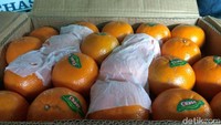 Iya benar lagi langka. Kurang tahu saya penyebabnya. Kalau kita tergantung musim. Biasanya kalau bulan 1-2 (Januari-Februari) jeruk ponkam mandarin banyak. Kalau sekarang nggak ada. Biasanya sampai depan toko itu numpuk, ini nggak ada, kata pedagang lain menambahkan.