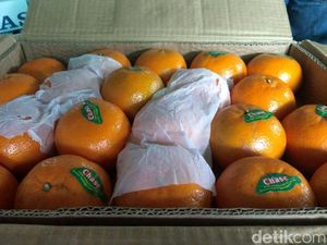 Polemik Izin Impor di Tengah Langkanya Jeruk Mandarin