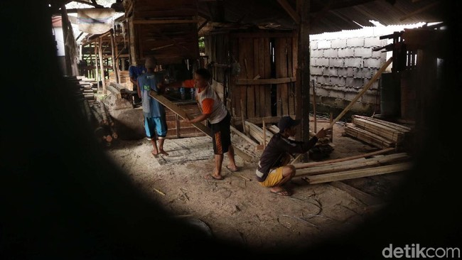 Aneka Bisnis Kayu yang Bikin Tajir Melintir