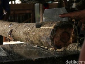 Bisnis Kayu Bernilai Hingga Ratusan Juta, Bagaimana Jualannya?