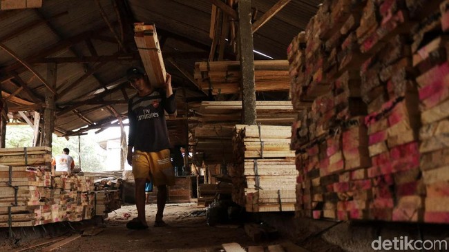 Aneka Bisnis Kayu yang Bikin Tajir Melintir