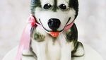 Nyam! 10 Kue Ini Benar-benar Mirip Anjing Sungguhan, Mau Cicip?