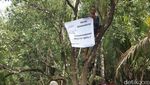 Foto: Pasca Manusia Dimangsa, Plang Hati-hati Buaya Dipasang