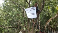 Daerah Sebangau Besar menurut Kepala Seksi Konservasi Wilayah I BKSDA Kalimantan Tengah, Junaedy Slamet Wibowo, merupakan habitat buaya.