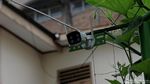 Melihat Gang Sempit yang Jadi Lokasi Pelecehan di Jatinegara