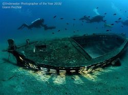 Karya Mengagumkan Jawara Kontes Foto Underwater 2018