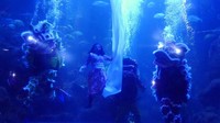 Buat yang penasaran ingin menontonnya, catat tanggalnya. Pertunjukan berlangsung pukul 13.45 WIB, tanggal 16 hingga 18 Februari 2018 (Kurnia/detikTravel)