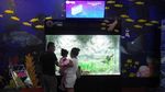Foto: Akuarium Ajaib di Seaworld