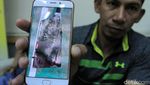 Tersetrum Saat Latihan, Atlet Pelatnas Dayung Jalani Perawatan