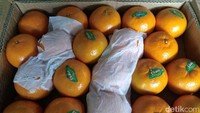 Jeruk Mandarin dari China sedang langka, seperti terjadi di Pasar Induk Kramat Jati, Jakarta Timur. Keberadaannya digantikan jeruk dari Pakistan.