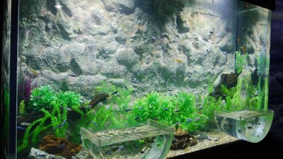 Foto: Akuarium Ajaib di Seaworld